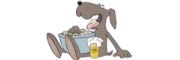 Dog enjoying beer and biscuits